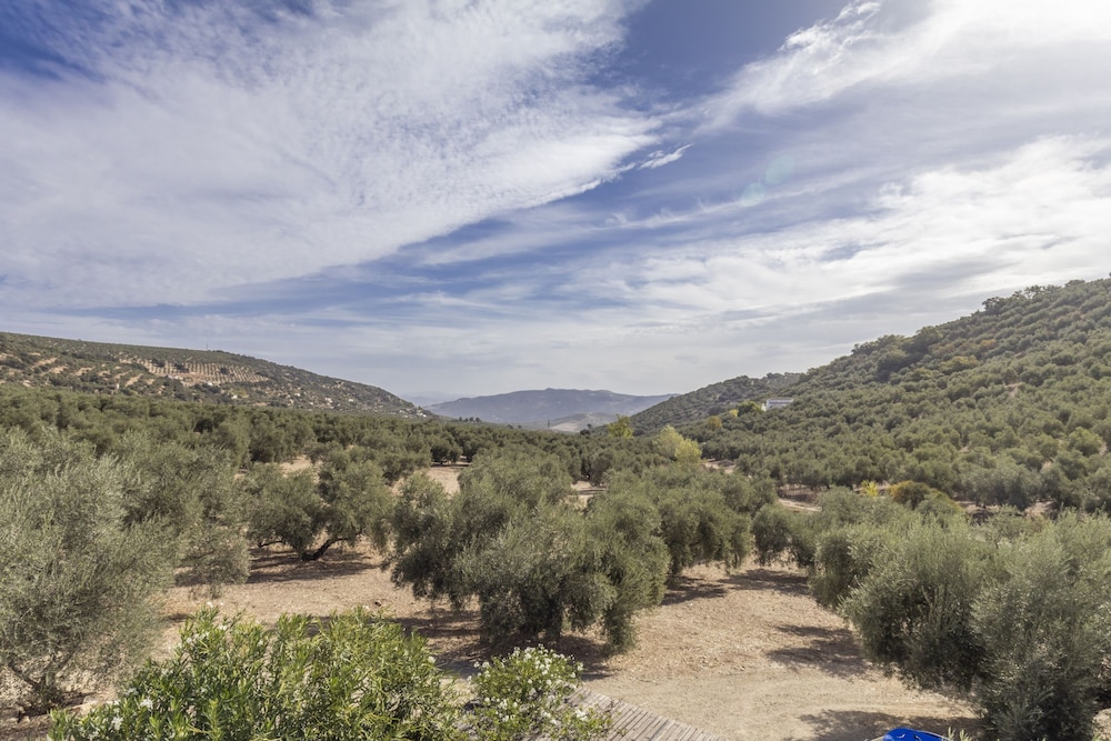 Casa Olivo in Izn jar