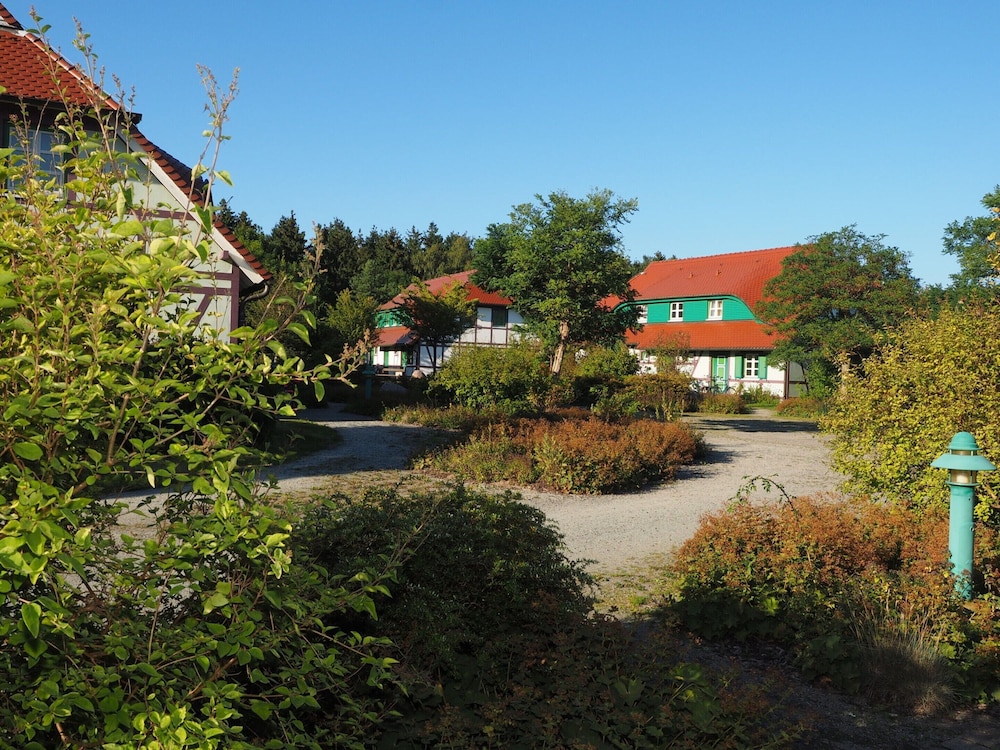 Wohnung in Dranske mit Garten