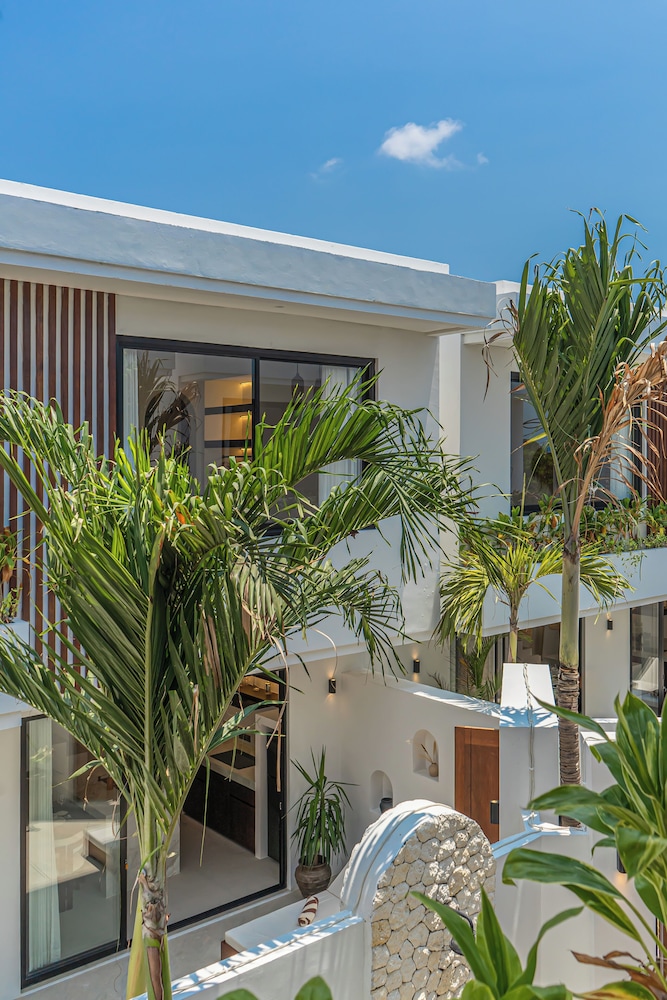 Nova Oasis 4