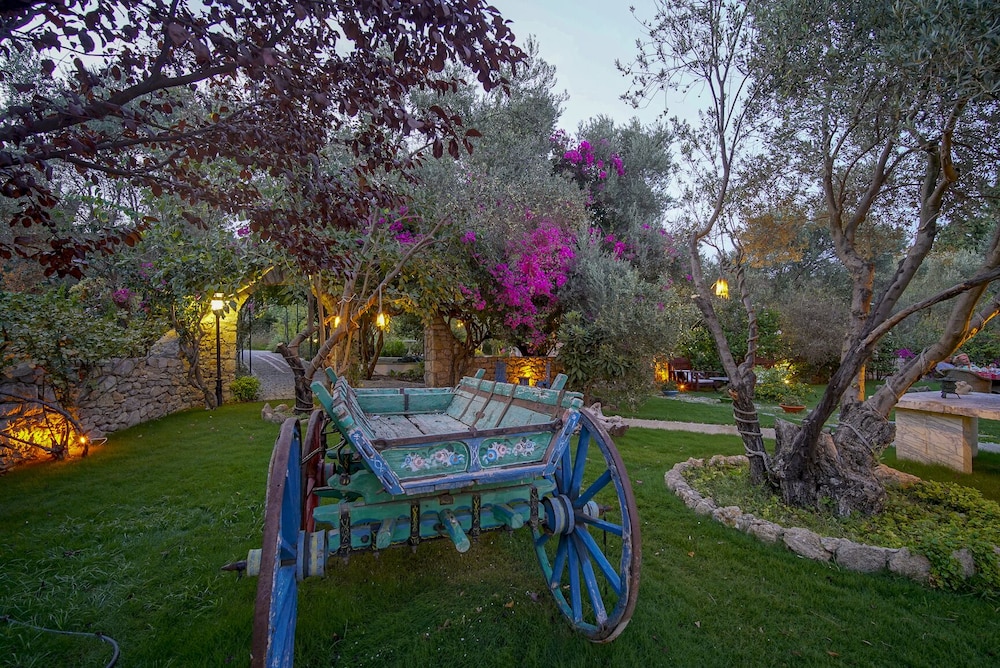 Olive Farm Of Datca
