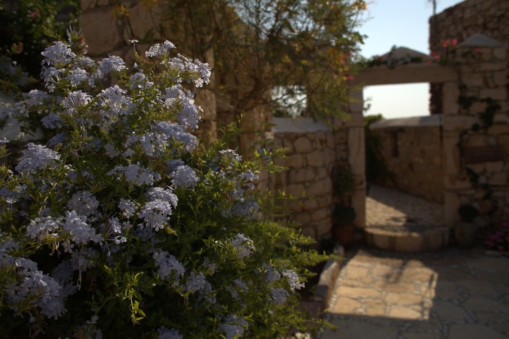 Eirini's Luxury Hotel Villas