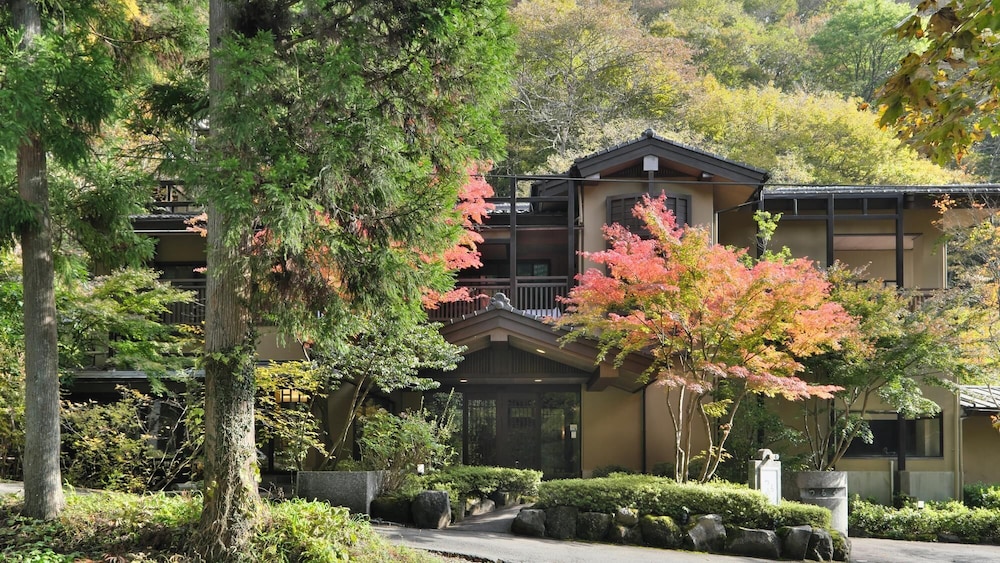 SHIMAONSEN TSURUYA, Nakanojo, Giappone - 19