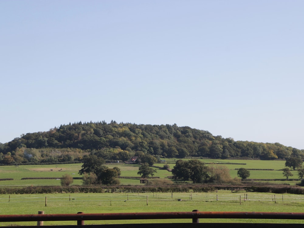 Leadon View Oak