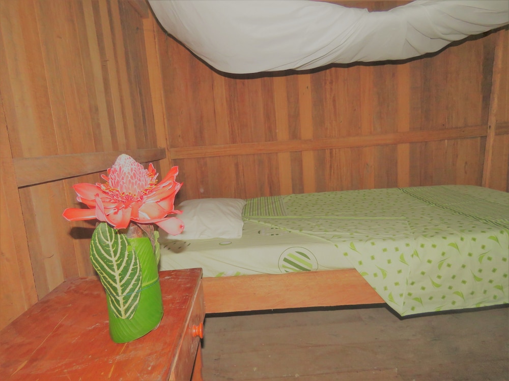 Tambopata Guest House view 2