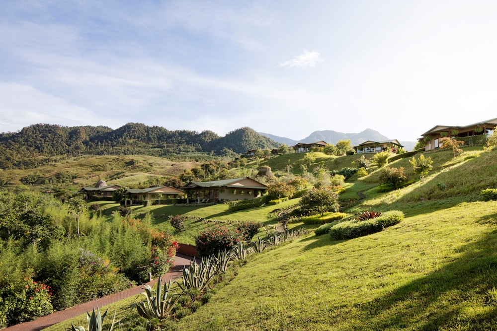 Hotel Hacienda AltaGracia, Auberge Resorts Collection - Image 1