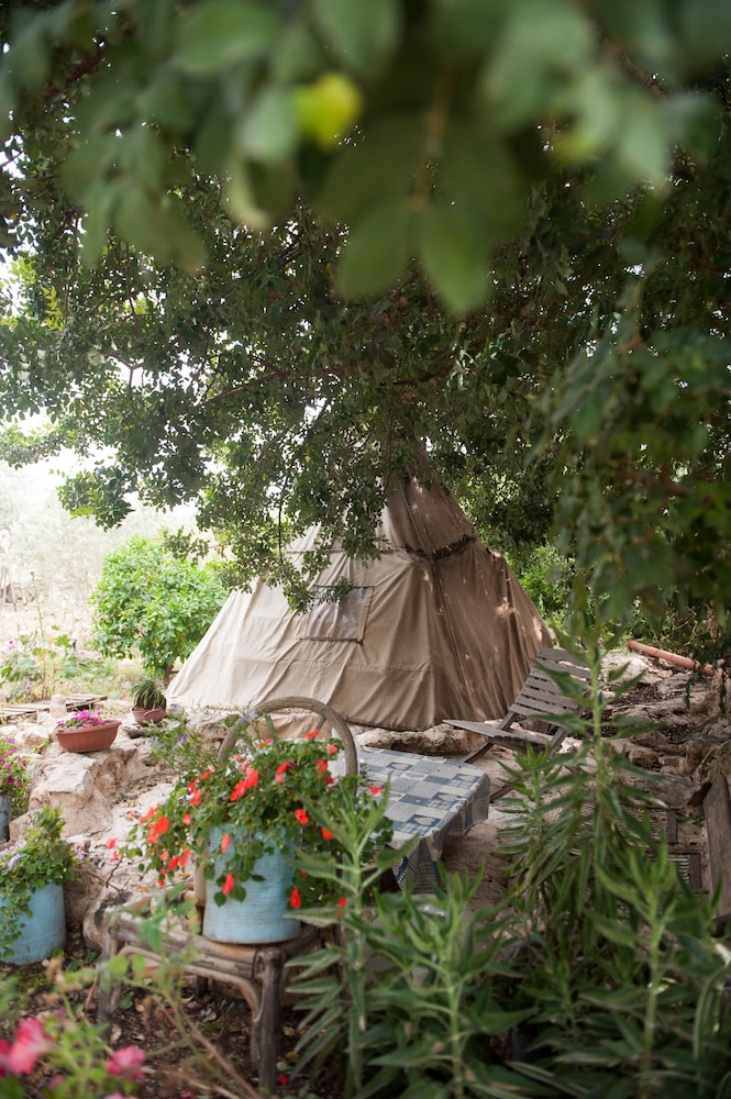Galilee Bedouin Camplodge