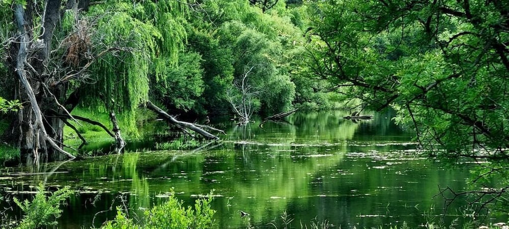 Photo 45