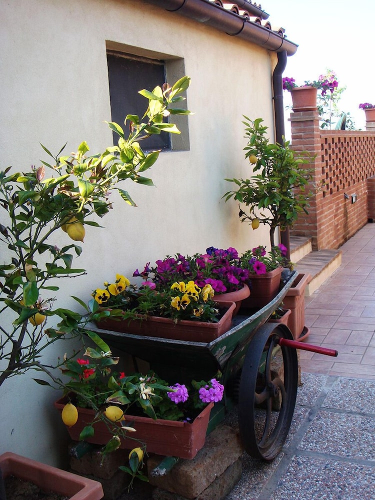 Photo 41