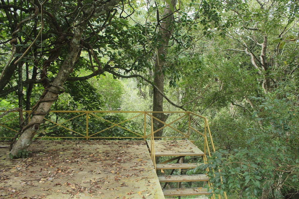 Secret Valley Jungle Resort