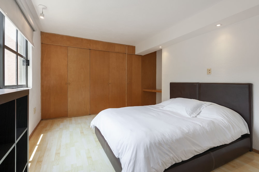 Beautiful apartment Ahuehuetes view 3
