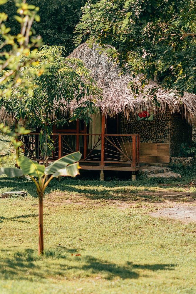 Magic Greeen Tayrona