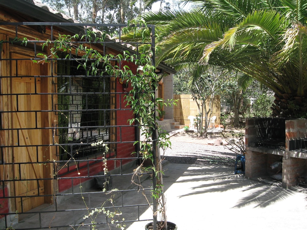 Arie s Cabin