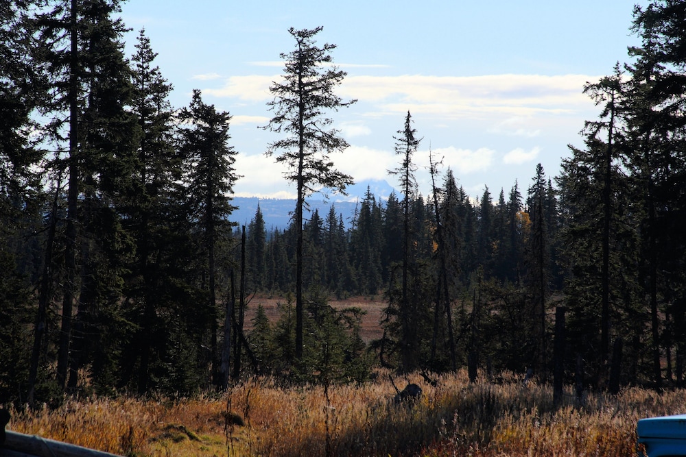 Bear Paw Adventure