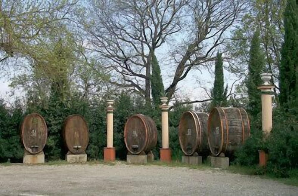 Fattoria Santa Lucia