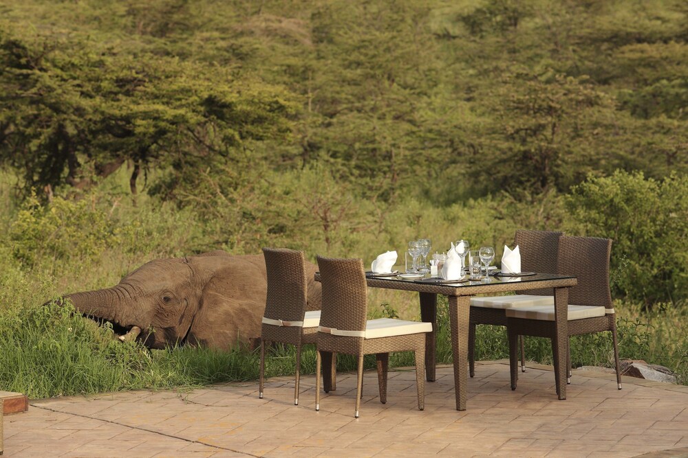 Spirit Of The Masai Mara