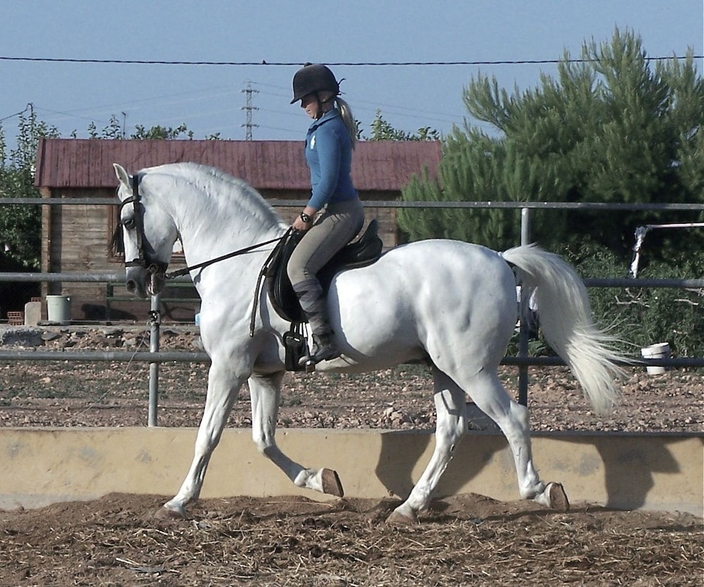 Photo 34