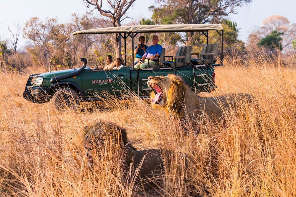 Mukambi Fig Tree Bush Camp – All Inclusive