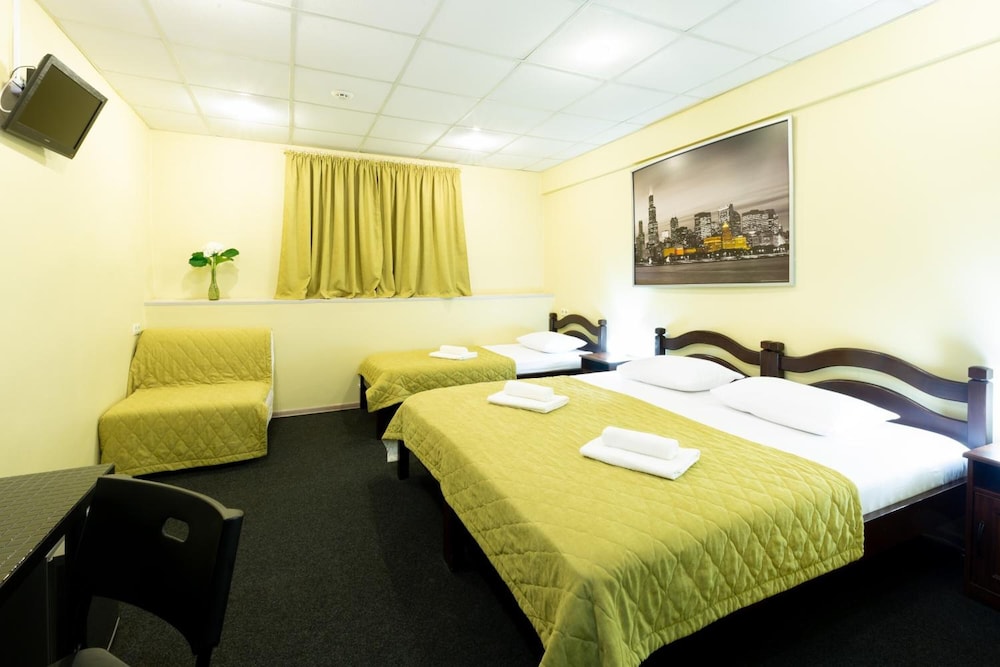 Izmaylovsky mini-hotel - Hostel