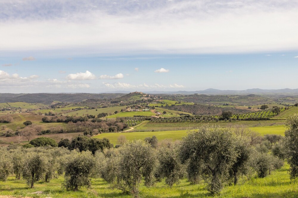 Casale Oleo