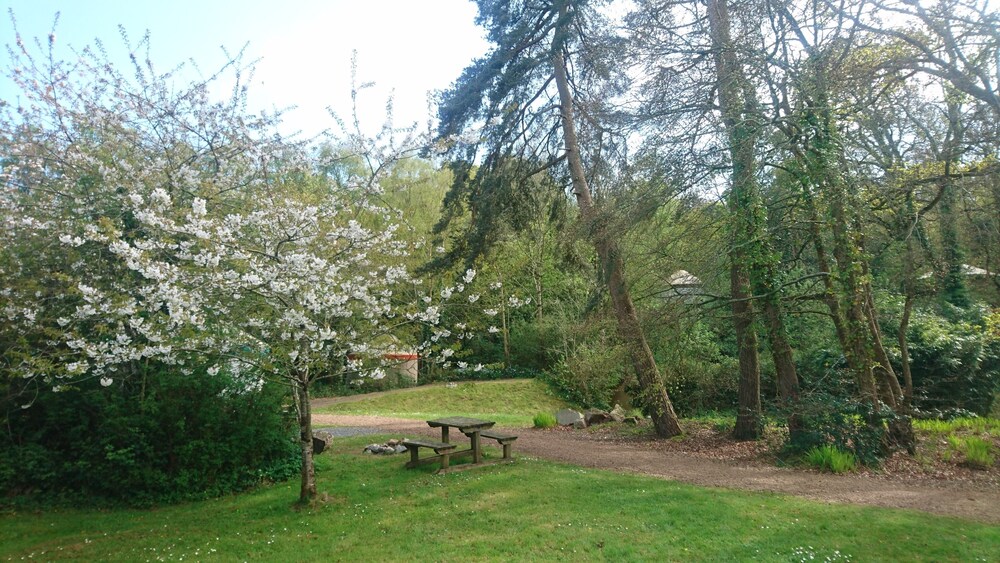 Yurtcamp Devon