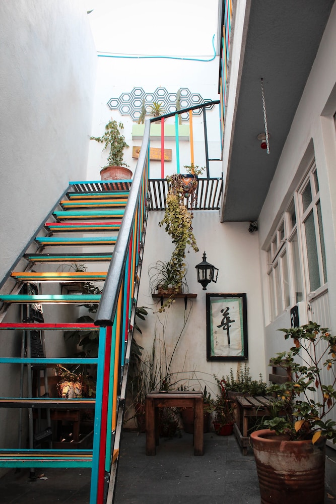 Jirafa Roja Hostel view 5