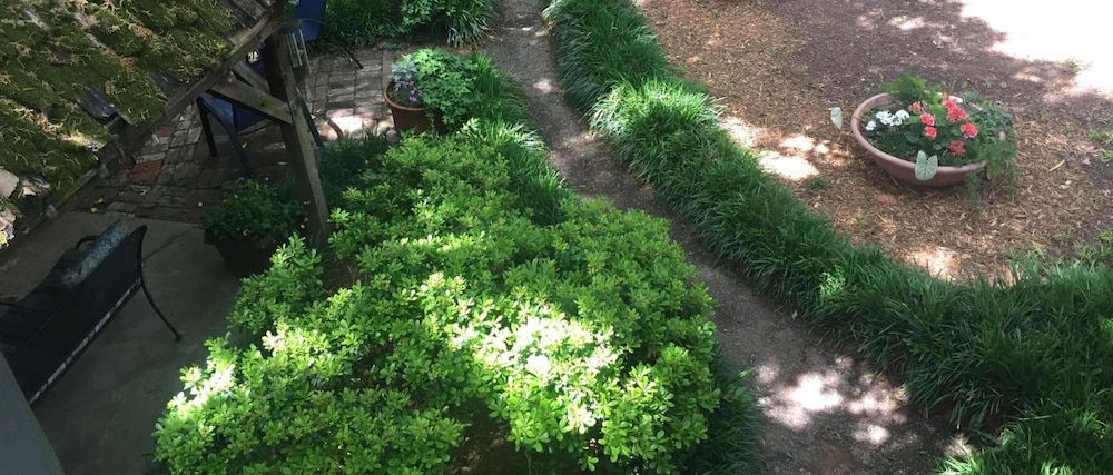 Photo 42