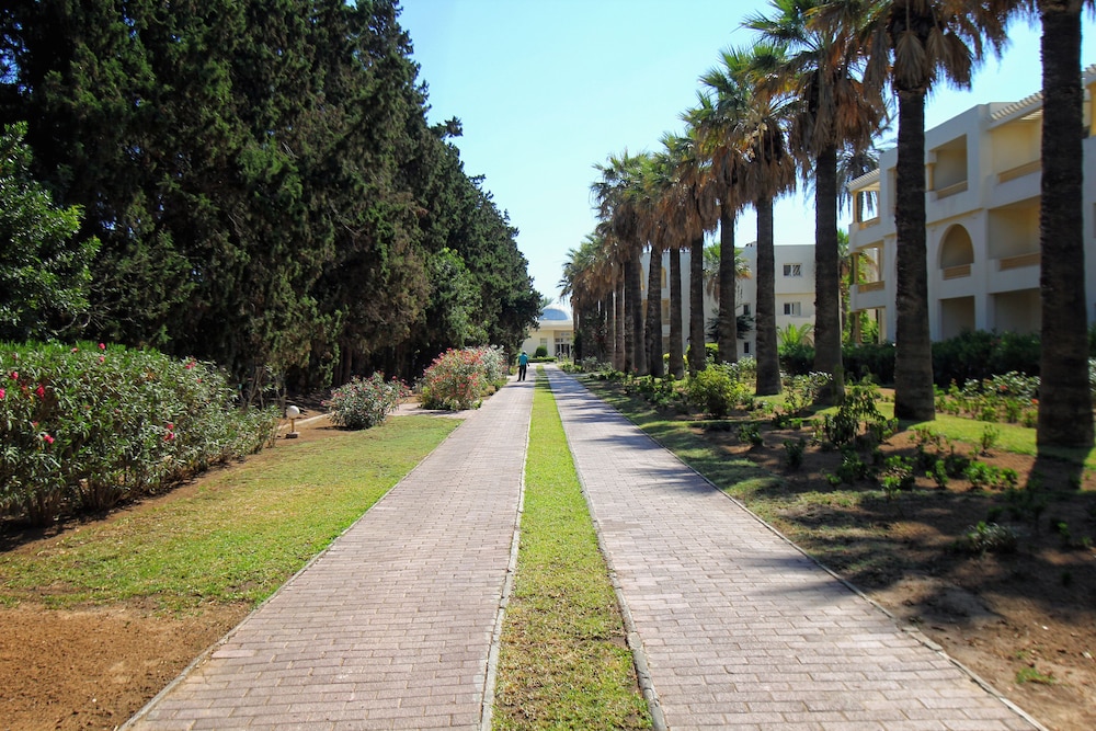 Hammamet Vacations - CALIMERA Delfino Beach Resort  Spa - All inclusive - Property Image 2