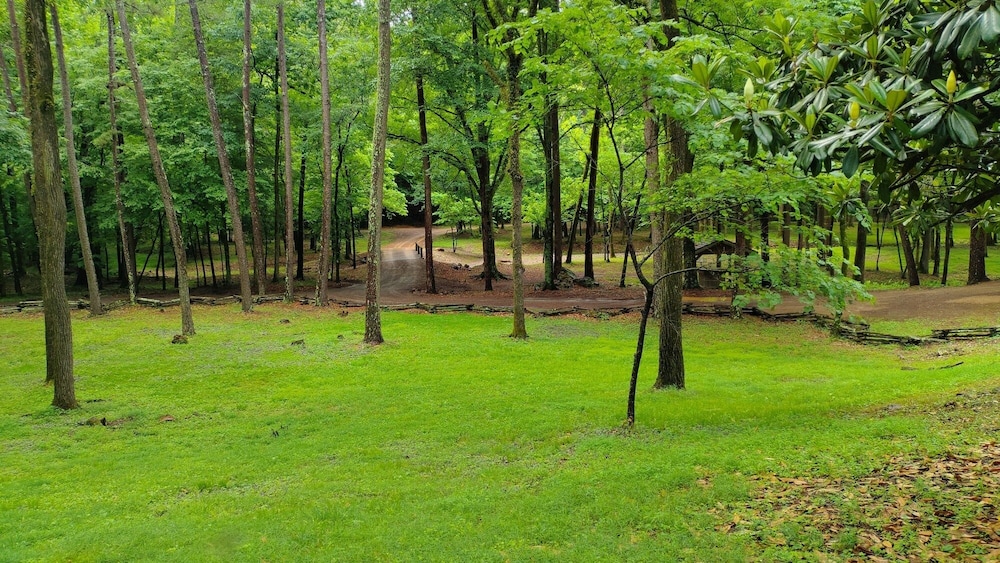 Bean Creek Cabins view 2