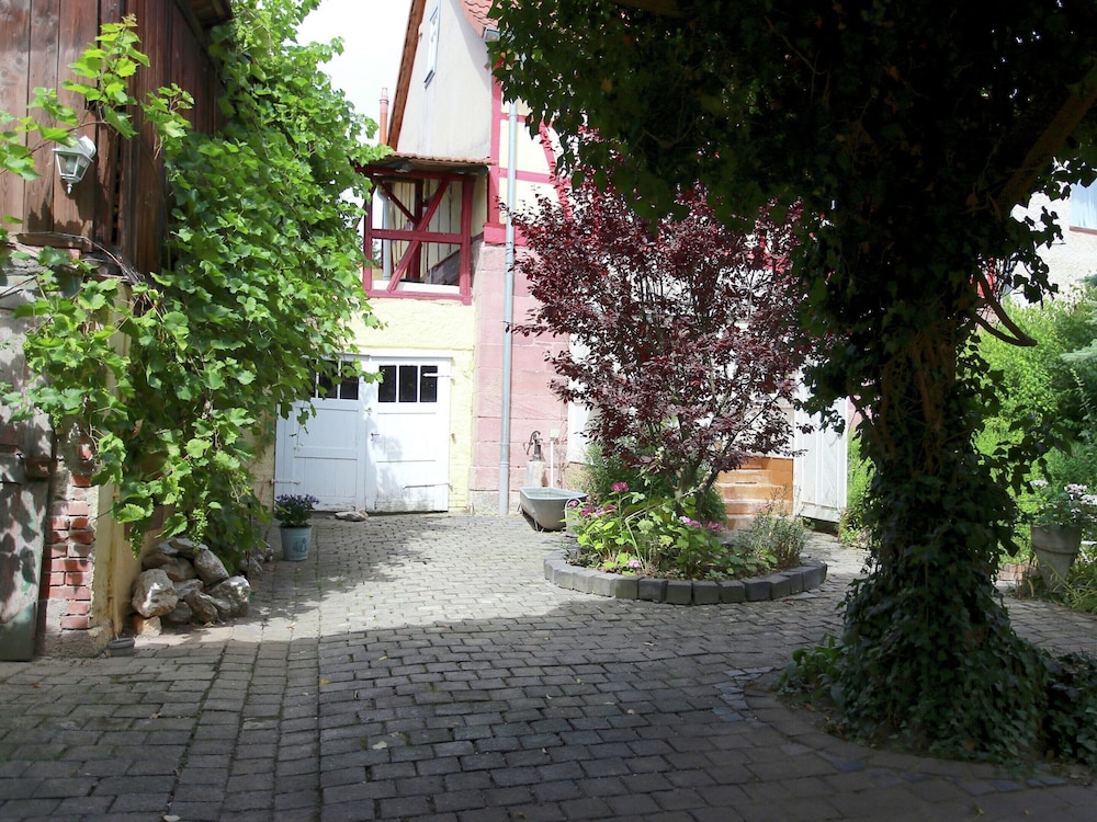 Photo 8