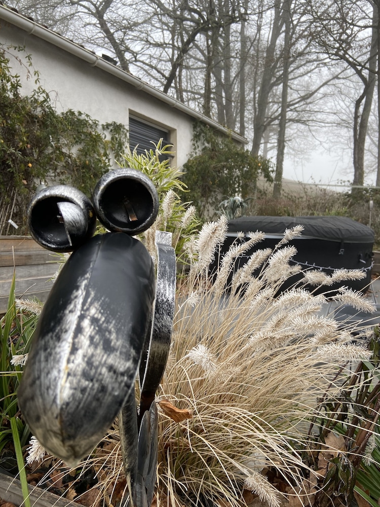 Flo  Marc les hotes de Chouzy-sur-Cisse - Property Image 18