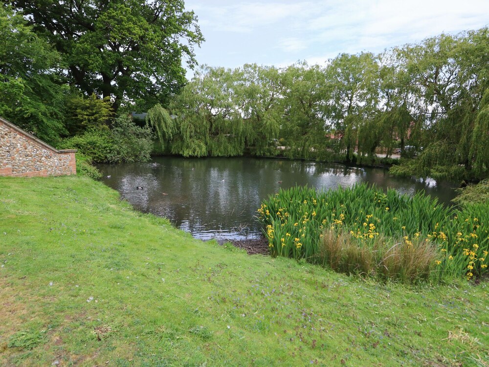 Photo 19