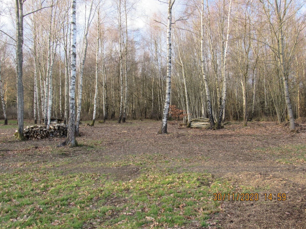 Photo 29