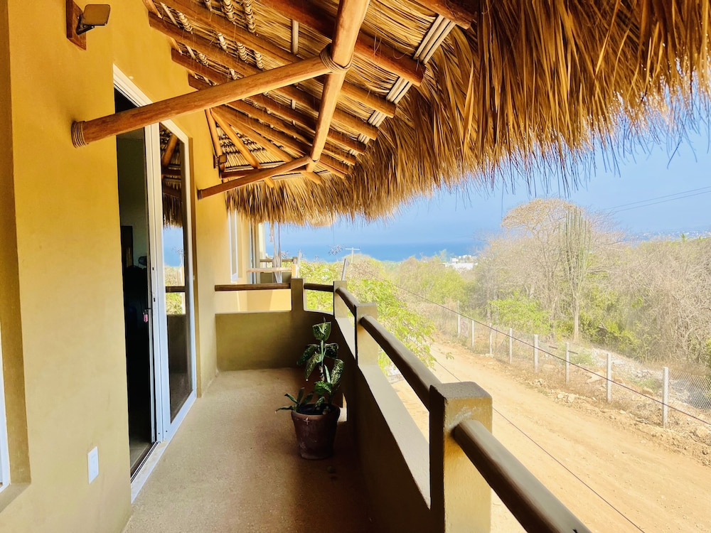 bonobo living apartments view 4