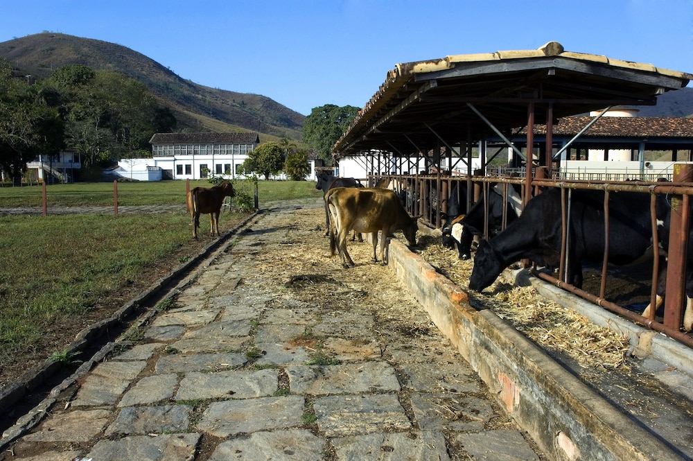 Fazenda São Fernando