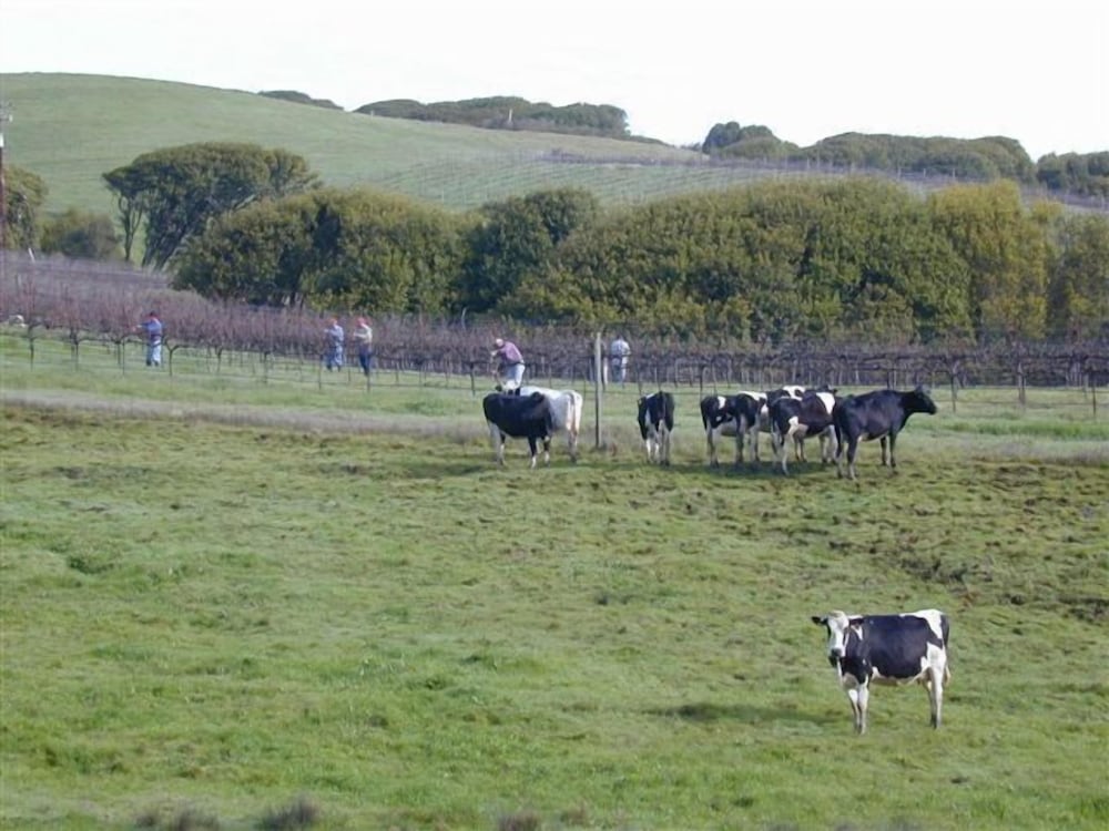 Point Reyes Vineyard Inn