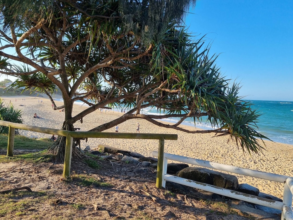 Seaestaatmoffatquietbeachparklargefenced Yard