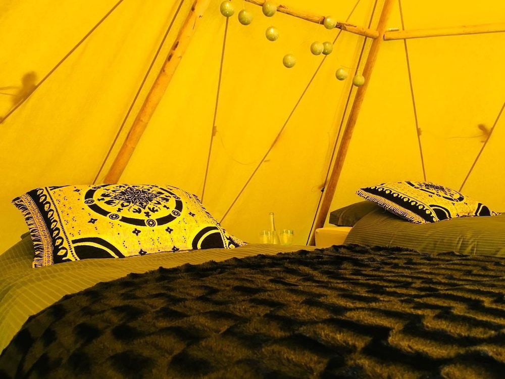 Aurora Glamping By The Whales view 2
