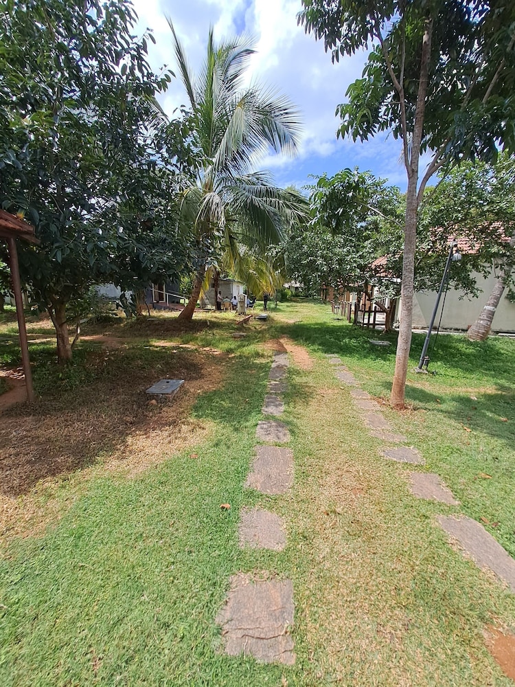 Olive Jungle Resort