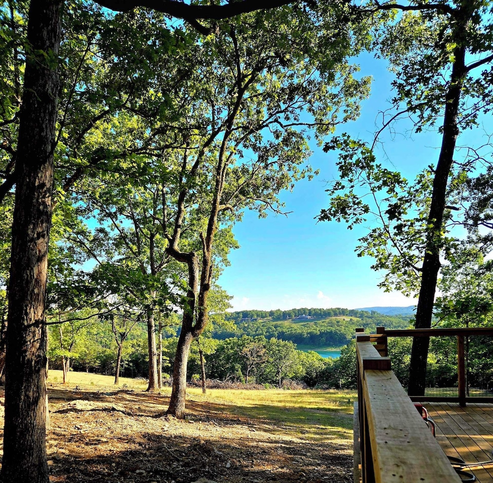 Falling Stars at Bull Shoals Lake