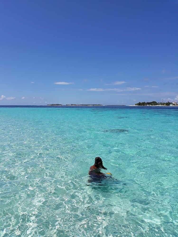 Hibiscus Holidays