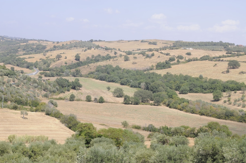 Le Tartarughe B&B