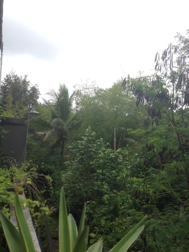 Cebluk Sari Homestay