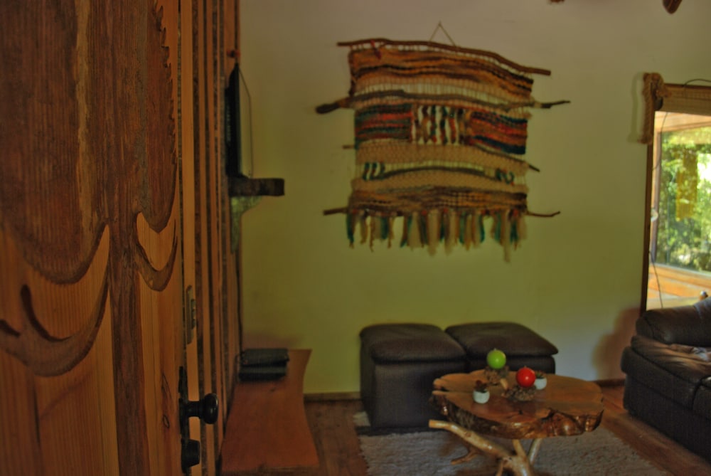 Casa Alto Palguin Pucón