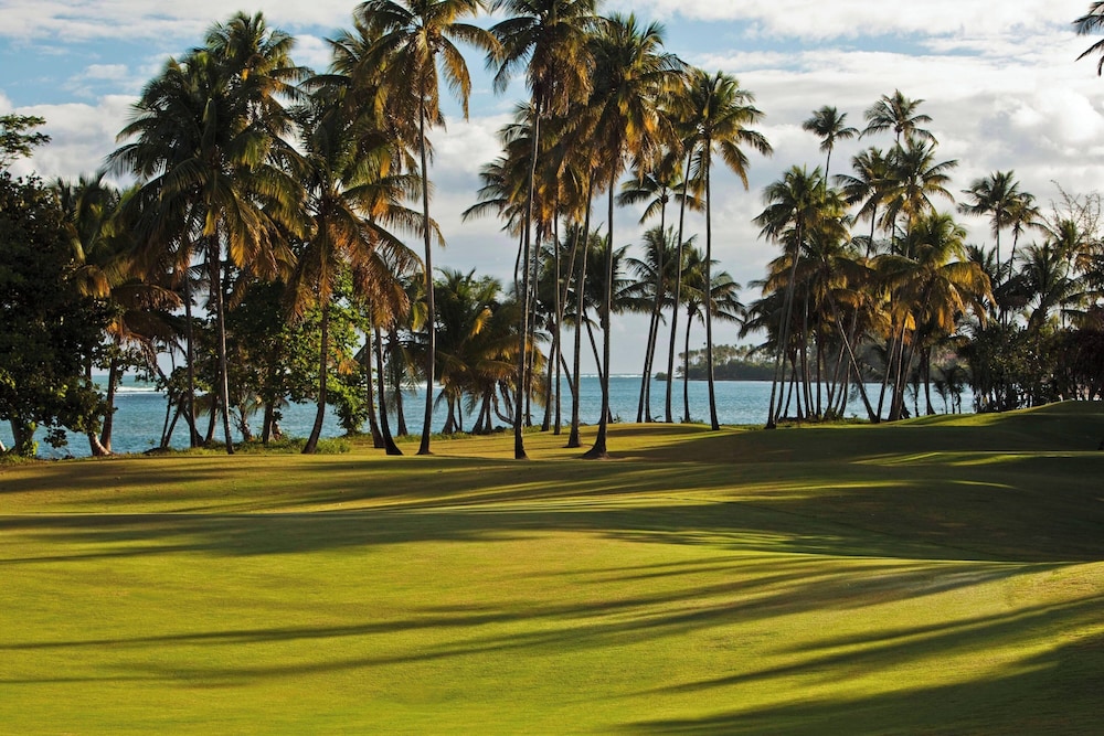 Four Seasons Resort and Residence Puerto Rico - Photo 47