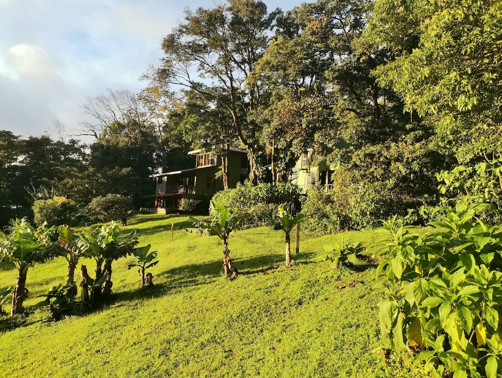 Monteverde Cloud Forest Vacations - Hotel Flor de Bromelia - Property Image 5