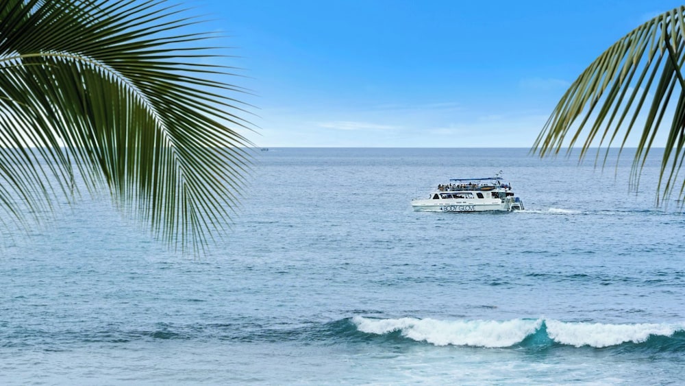 Stunning Top Floor Ocean Front Condo AC & Wifi
