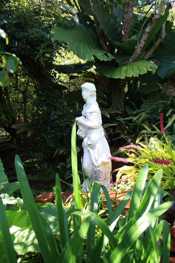 Photo 38