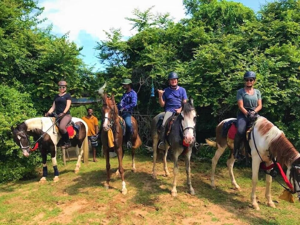 Podi Hoona Yala Safari Camp