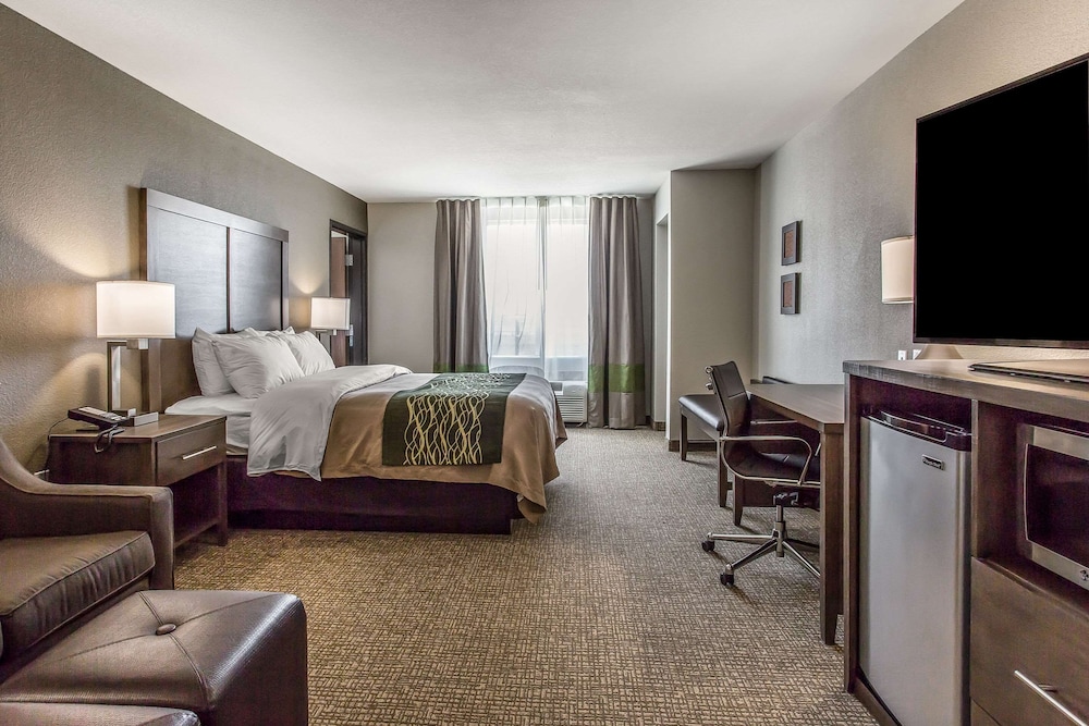 Comfort Inn & Suites Snyder