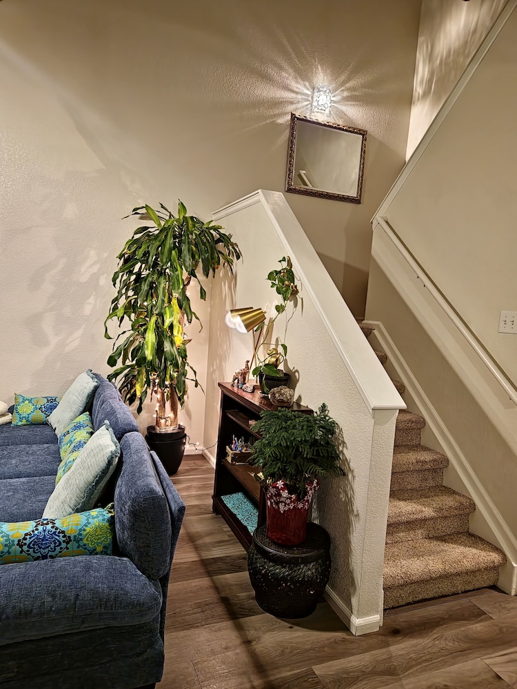 Casa de gato